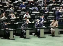 اگر مجلس به جای تصویب لایحه حمایت از حقوق زنان، مشغول رسیدگی به مجارات نگهداری سگ و گربه نمی شد، کار به اینجا نمی کشید