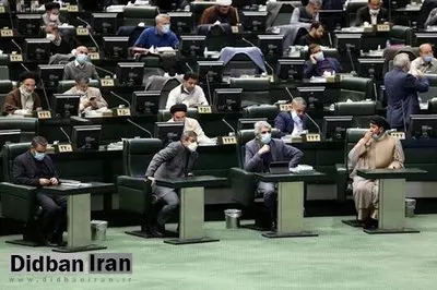 اگر مجلس به جای تصویب لایحه حمایت از حقوق زنان، مشغول رسیدگی به مجارات نگهداری سگ و گربه نمی شد، کار به اینجا نمی کشید