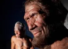 کشف شواهد هولناک آدم‌خواری و تجاوز  نئاندرتال‌ها به انسان؛ قربانیان زنان و کودکان گروه رقیب بودند