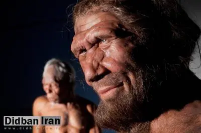 کشف شواهد هولناک آدم‌خواری و تجاوز  نئاندرتال‌ها به انسان؛ قربانیان زنان و کودکان گروه رقیب بودند
