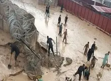 شناسایی اجساد جدید در زیرزمین مغازه‌ای در امام زاده داوود/ ۷۰ درصد آوار برداری به اتمام رسید