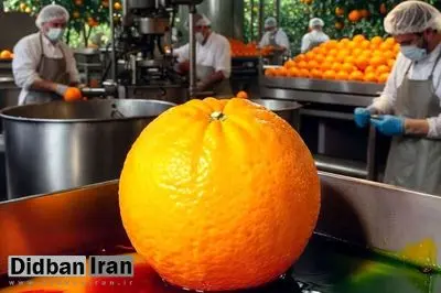 واکنش سازمان غذا و دارو به فیلم رنگ کردن پرتقال‌ها