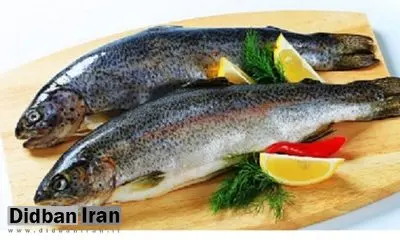 کاهش ۲۵ درصدی تولید ماهی قزل‌آلا به دلیل خشکسالی/ افت ۴۰ درصدی مصرف با افزایش قیمت