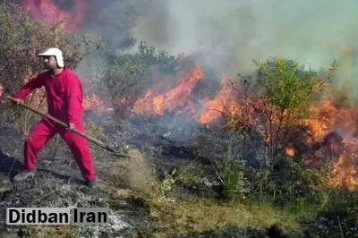 جنگل‌‌های دیزمار جلفا در آتش می‌سوزد