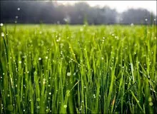 پست بانک بیش از 2 هزار میلیارد ریال تسهیلات کم بهره به روستاییان داد