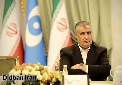 رئیس سازمان انرژی اتمی: آژانس در سال ۲۰۲۴ بیش از ۴۵۰ بازرسی انجام داد / ۲۵ درصد بازرسیها از تأسیسات ایران بود
