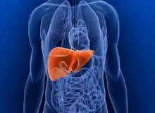 با این روش‌ها به کبد چرب مبتلا نشوید