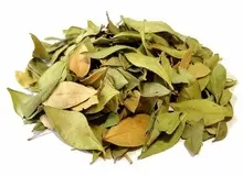 ۳ خاصیت "مورد" از  کاهش فشار خون تا متوقف کننده موثر ریزش موی سر / دم کرده «مورد» را چطور تهیه کنیم؟+دستور العمل 