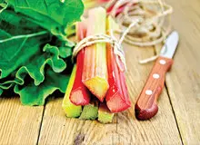 خواص شگفت انگیز ریواس برای درمان "کبدچرب" / طرز تهیه شربت ریواس