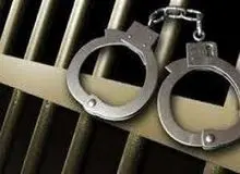 مریم وحیدیان خبرنگار بازداشت شد