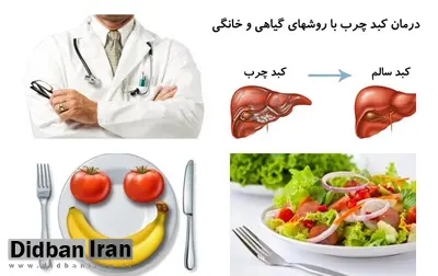 با ۶خوراکی  موثر در درمان  کبد چرب آشنا شوید