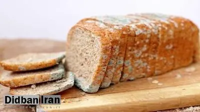 غذای کپک زده خطرناک است؟