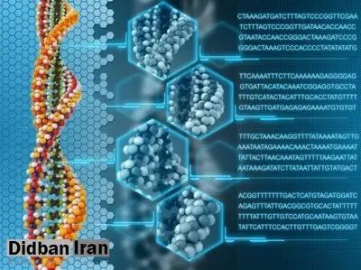 تحقیق جدید: ویروس‌های باستانی در ژنوم انسان منجر به بیماری‌های روانی می‌شود