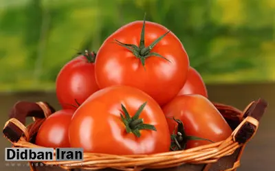 سیر و گوجه فرنگی، خوراکی هایی موثر در برابر سرطان پروستات
