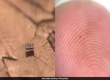 انقلاب در ابعاد میکروسکوپی/ کوچک‌ترین ربات‌های جهان با مغز دیجیتال و سوخت نوری