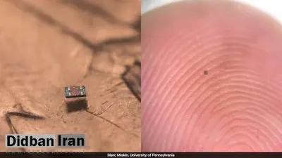 انقلاب در ابعاد میکروسکوپی/ کوچک‌ترین ربات‌های جهان با مغز دیجیتال و سوخت نوری