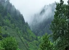 سازمان جنگل‌ها هشدار داد؛ پتانسیل بالای وقوع آتش‌سوزی در جنگل‌های شمال کشور