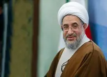 عضو مجلس خبرگان رهبری: معنی انتخابات در ایران این است که مردم اعلام کنند، فرمانبر این نظام تشکیلاتی هستند/به دنبال بازوی اجرایی برای فرمانروا هستیم
