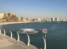 آخرین اخبار از جستجوی تمساح در دریاچه چیتگر/ آتش نشانی: در بررسی‌های امروز چیز خاصی مشاهده نشد
