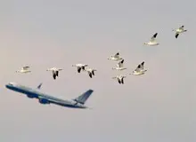 فروش دلاری بلیت نایاب پرواز داخلی در سایت‌ خارجی / بلیت پرواز تهران - مشهد ۵۵ دلار