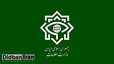 یک تبعه سوئدی به اتهام جاسوسی بازداشت شد