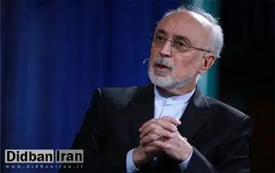 صالحی: هر گونه چشم طمع به آب و خاک ایران، محکوم به شکست است