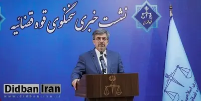 سخنگوی قوه قضاییه: تعدادی از مدیران در پرونده تخلف واردات چای در بازداشت هستند