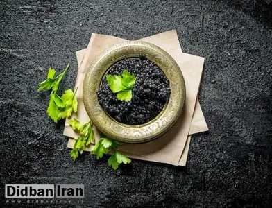 خاویار گنجینه ای از خواص شگفت انگیز و روش های خلاقانه مصرف آن