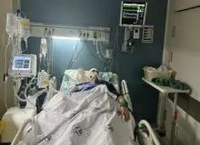 سخنگوی دولت: سجادی به وزارت‌خانه برمی‌گردد