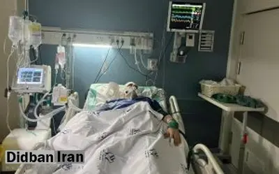 سخنگوی دولت: سجادی به وزارتخانه برمیگردد