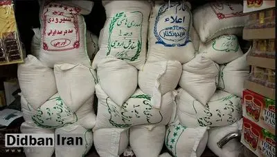 افزایش بیش از ۱۰درصدی قیمت برنج ایرانی در یک ماه گذشته+قیمت برنج/ برنج طارم در آستانه ورود به کانال ۲۰۰ هزارتومانی!
