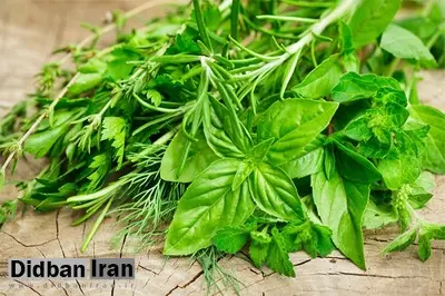 آشنایی با بهترین گیاهان دارویی