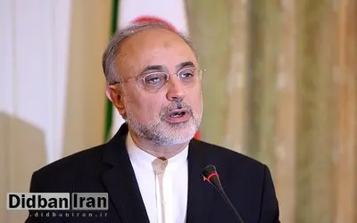 علی اکبر صالحی: تصمیمگیری درباره تحریمهای آمریکا با هیئت نظارت بر برجام است