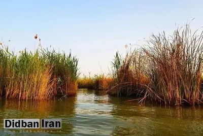 ۵۸ درصد تالاب شادگان خشک شده است