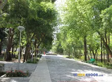 ماجرای تجاوز به دختر 14 ساله میان درختان بلوار چه بود؟