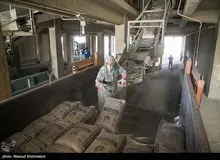 گاز برخی کارخانه‌های سیمان قطع شد/ سیمان احتمالاً گران می شود