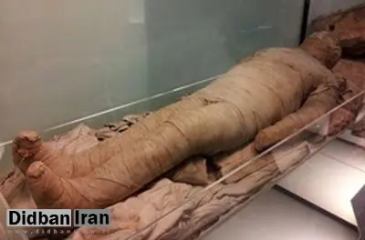 مومیایی ماهانه ۱۰ جسد در ایران