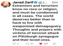 ظریف: افراط‌گرایی و تروریسم، نژاد و مذهب نمی‌شناسد