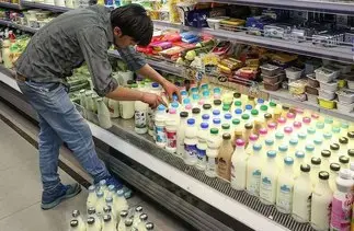 لبنیات دوباره گران شد