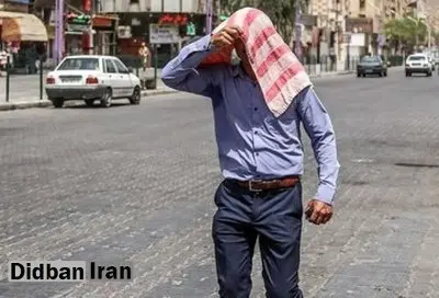 این خوراکی شما را از گرما نجات میدهد