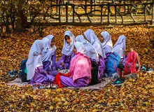 طبیعت پاییزی جنگل گلستان+ تصاویر
