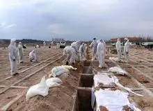 مجموع جان باختگان کرونایی به ۱۲۷۰۰۰ نزدیک شد
