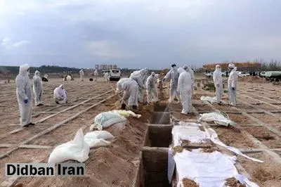 مجموع جان باختگان کرونایی به ۱۲۷۰۰۰ نزدیک شد