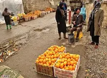 پیدا کنید پرتقال فروش را؛ چه کسی پاسخگوی فاسد شدن چندین هزارتن میوه است؟