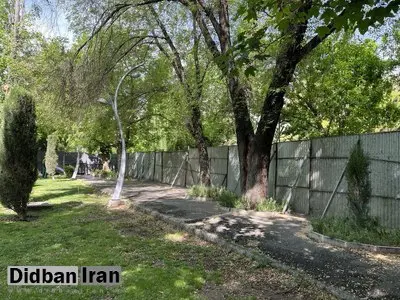 حصارکشی پارک‌ها به لاله رسید/ آیا جان درختان در خطر است؟