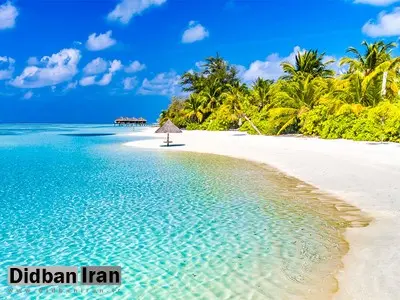 تعطیلات به کجا می روید؟ مالدیو یا گرجستان؟