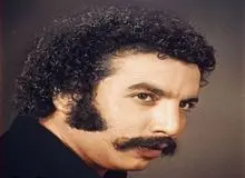 پیکر «بهمن مفید» در خاک آرام گرفت
