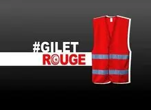 جنبش "جلیقه قرمزها" رسما در تونس اعلام موجودیت کرد
