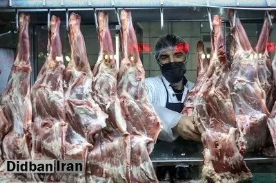 گوشت رکورددار گرانی؛ تورم بادمجان ۳۹ درصد شد
