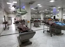 هفته‌ای ١٠٠ جسد مجهول‌الهویه درتهران کشف می‌شود/ دانشگاه ها از مافیا جسد می خرند